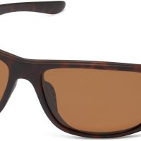 Striper - Image 10