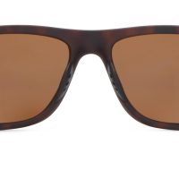 Striper - Image 12
