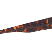 Striper - Image 3